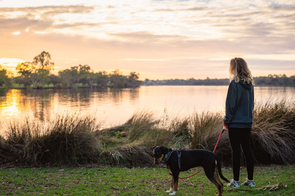 Where Wellbeing Matters