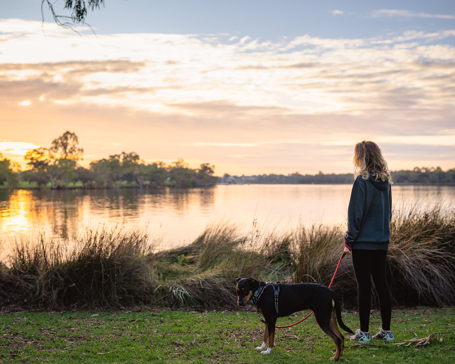 Where Wellbeing Matters