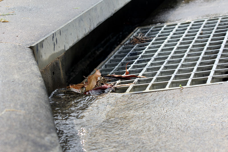 Rain water flowing down a street drain with dry leaves