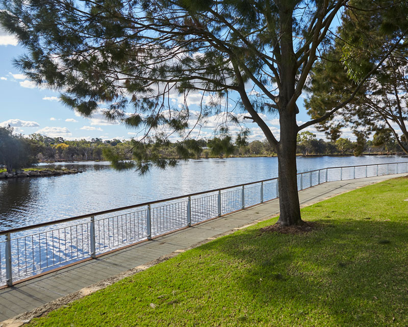 Park trees and footpath along foreshore