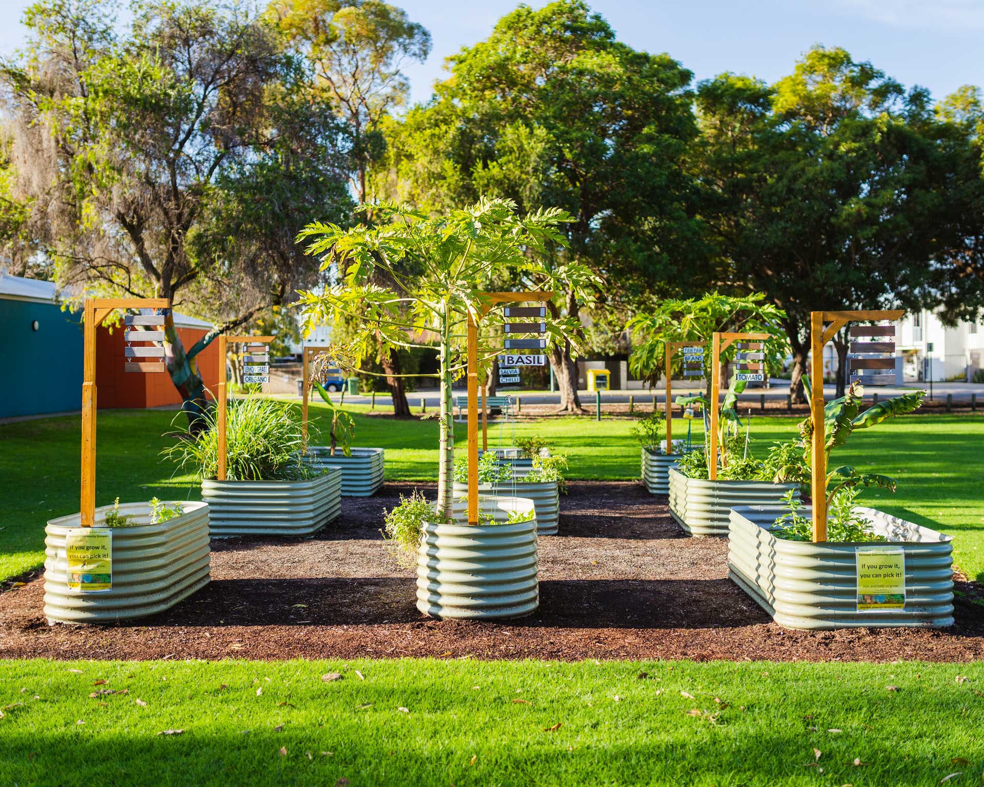 Community Garden