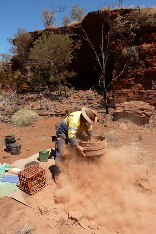 Image for Belmont Interest Group: Digging Deep in Archaeology