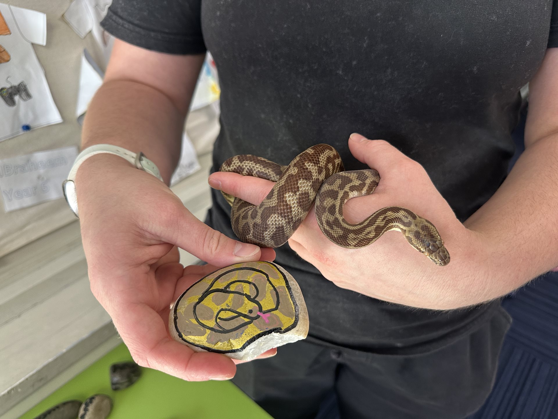 Image for School Holidays: Eco Rock Art