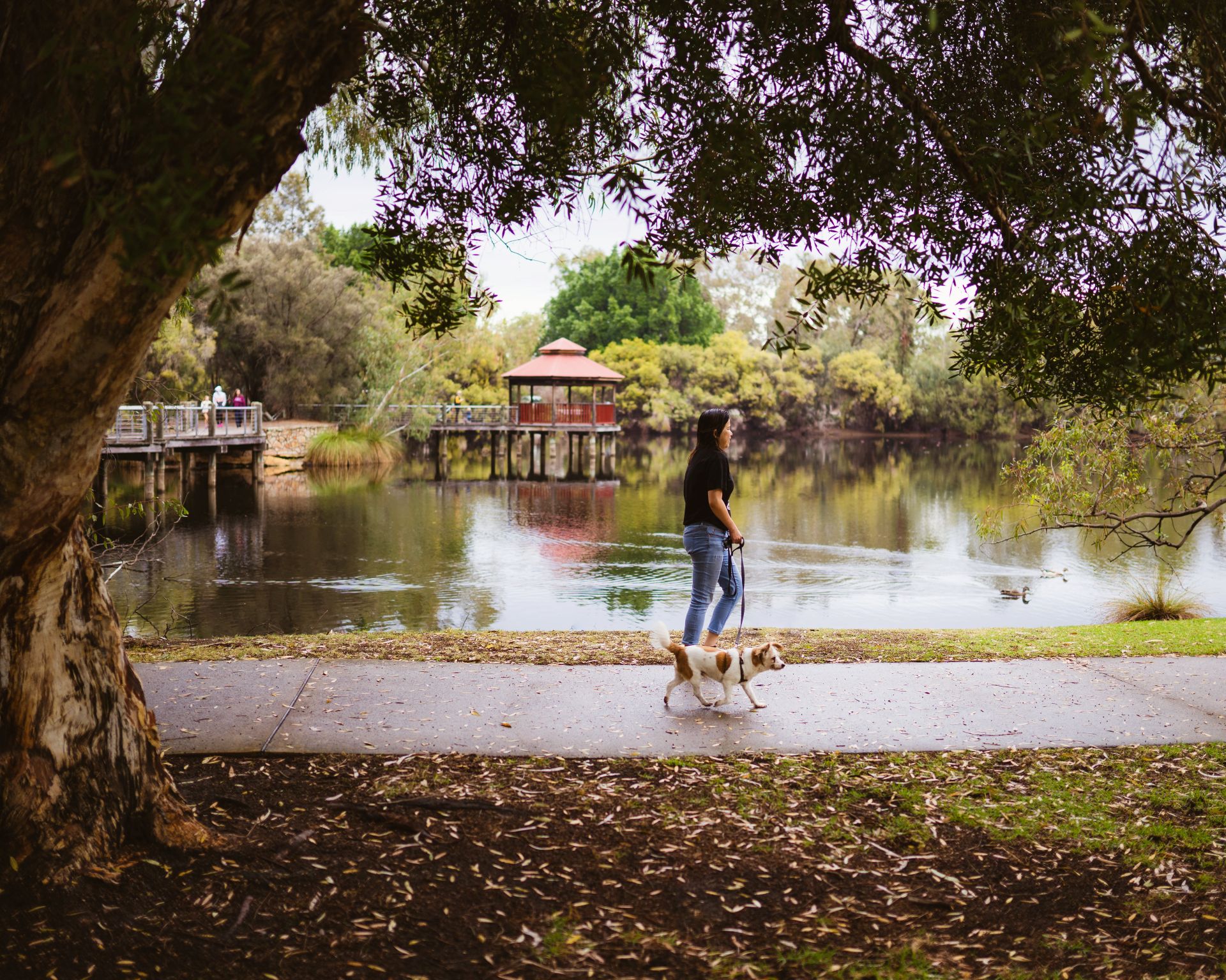 A woman walking a dog at Tomato Lake