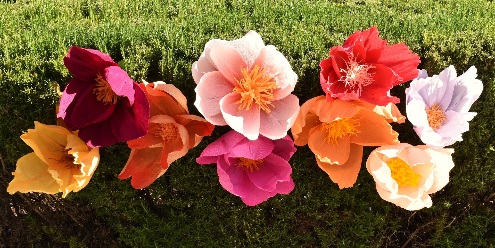 Stories in Bloom