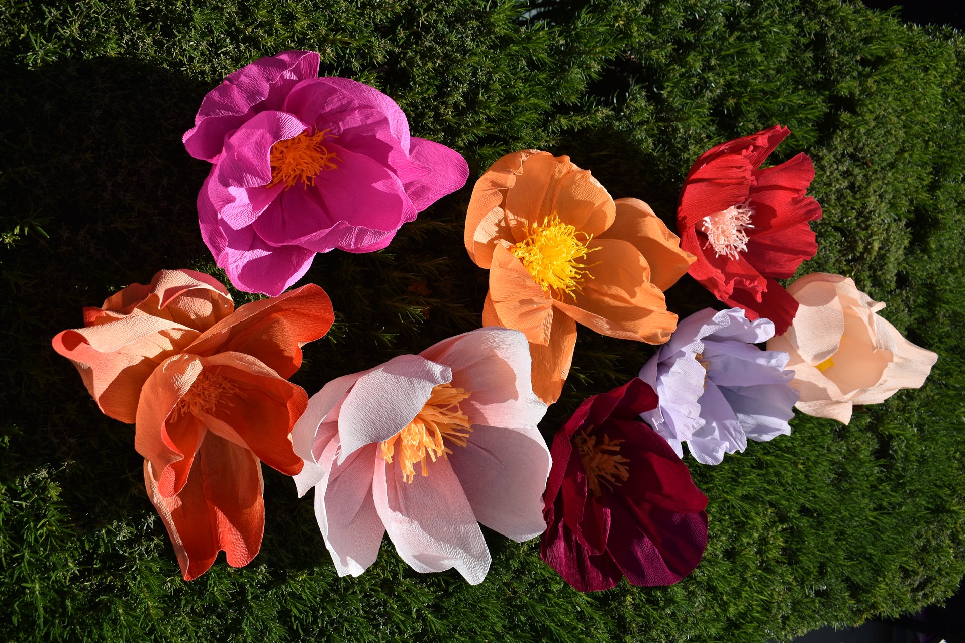 Stories in Bloom paper flowers