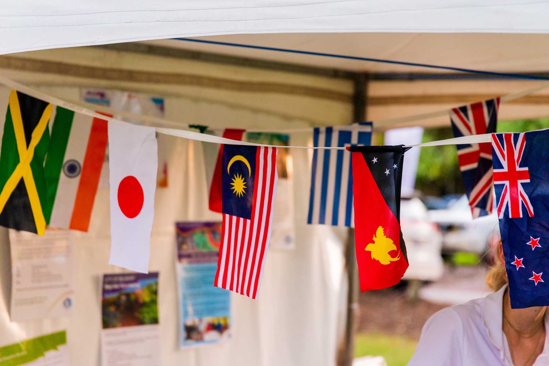 Multicultural flags at Harmonise Cultural Festival.