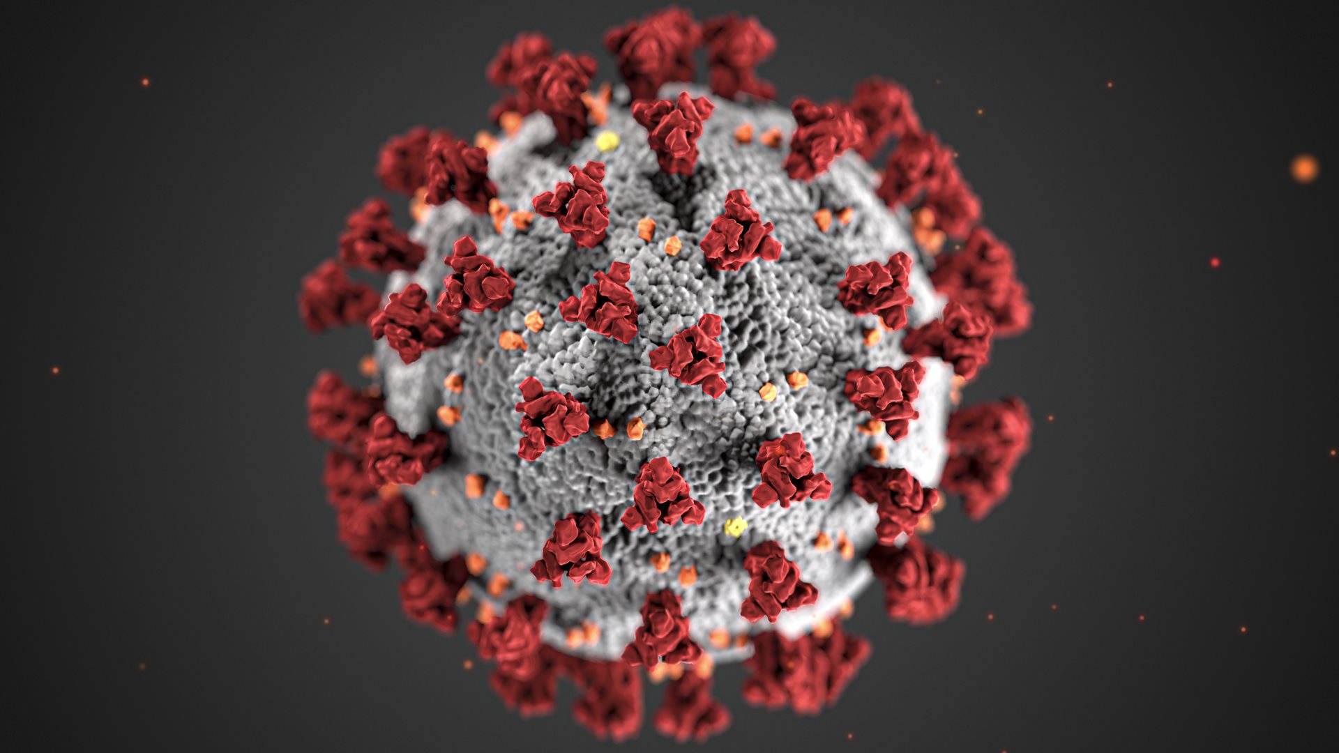 Coronavirus