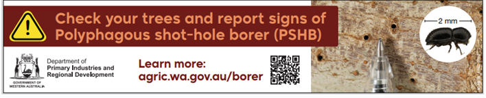 Polyphagous Shot-Hole Borer banner