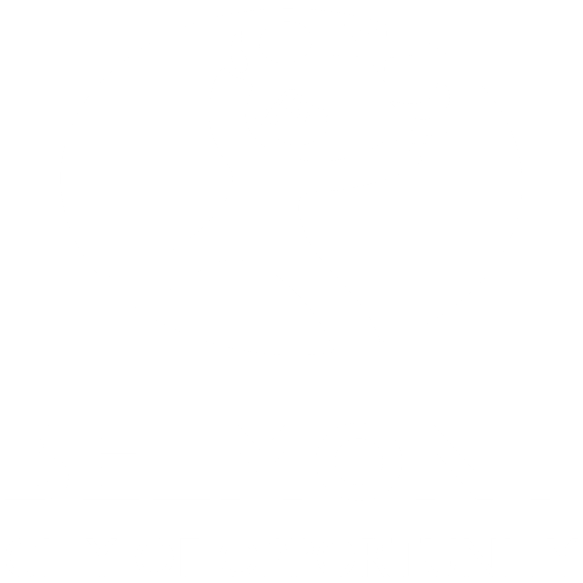 Belmont footer logo