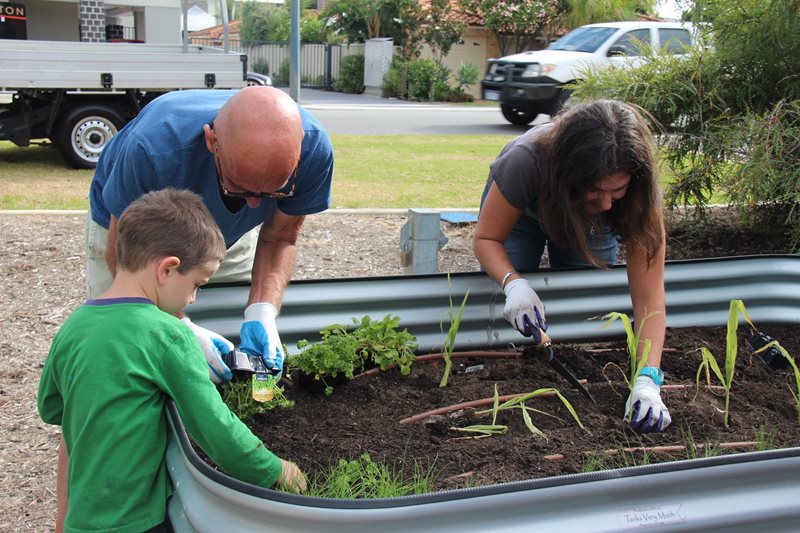 Community garden